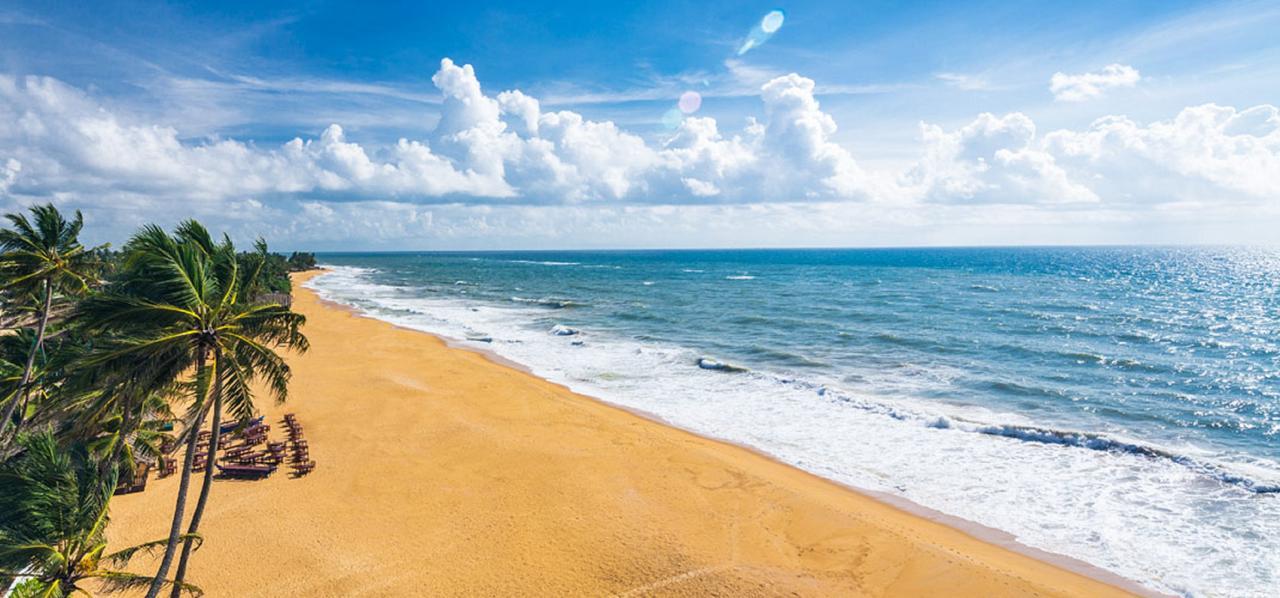مافونت لافينيا Charming Homestay By The Beach المظهر الخارجي الصورة